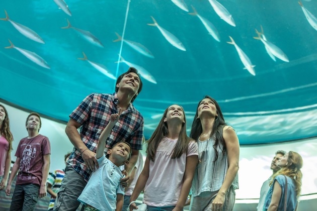 Greater Miami and the Beaches: Presse-Newsletter Februar 2019