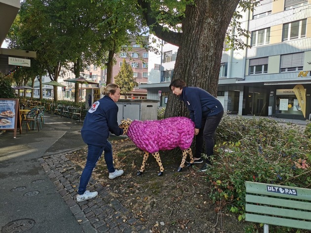 Handbemalte Schaf-Unikate gegen Mulesing / VIER PFOTEN sensibilisiert mit farbenfrohen Schaffiguren für das Leid von Merinolämmern