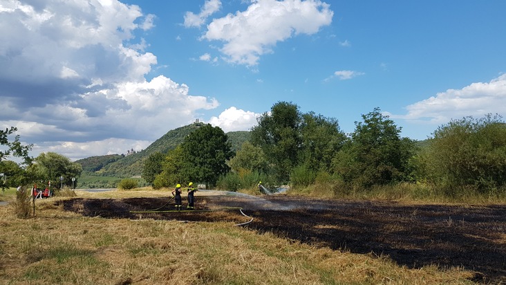 FW-BN: Ausgedehnter Flächenbrand an der südlichen Stadtgrenze in Bonn-Mehlem