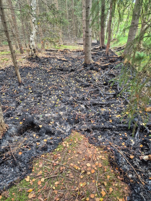 FFW Schiffdorf: Aufwendige Löscharbeiten: Aufmerksame Spaziergänger bemerken Brand im Spadener Moor