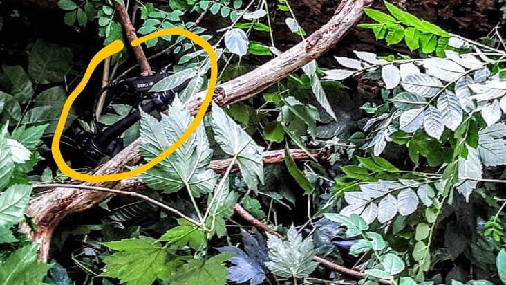 BPOL-KI: Diensthunde der Bundespolizei finden gestohlene Fahrräder im Wald