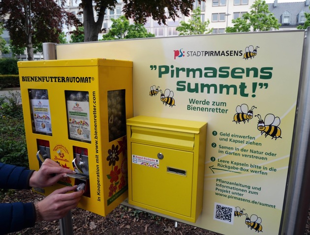 Grün, clever, sparsam: Wie Pirmasens mit innovativen Ideen die Finanzen schont und die Natur fördert