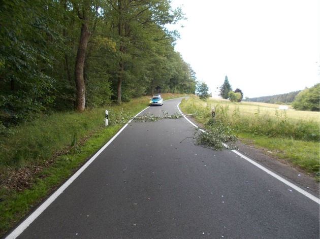 POL-SI: Baum fällt (auf) Motorradfahrer