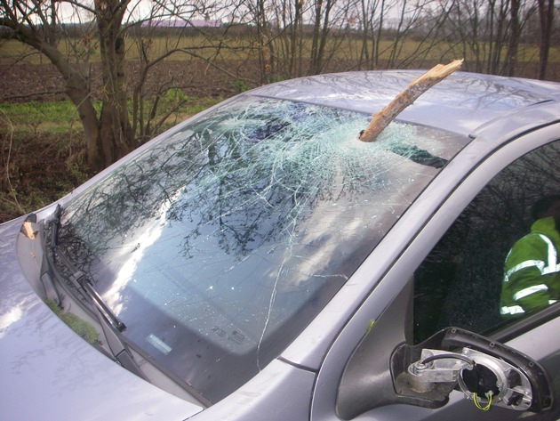 POL-DN: Lichtbild zu Verkehrsunfall mit umgestürztem Baum