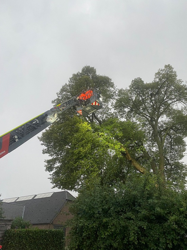 FF Goch: Unwetter: 30 Meter - Baum droht auf Scheune zu stürzen