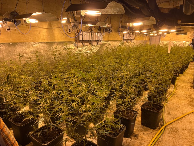 POL-BI: Polizei deckt Cannabis-Plantage und illegales Glückspiel auf