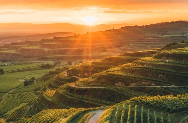 Tourismus Marketing GmbH Baden-W&uuml;rttemberg: Sehnsuchtsorte im S&uuml;den: Erleben, wo Baden-W&uuml;rttemberg ber&uuml;hrt