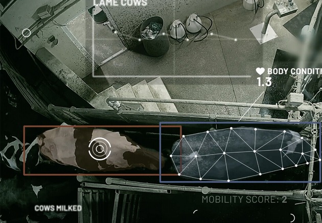 GEA sieht neues Potenzial in der Rinderzucht: CattleEye-Daten unterstützen genetische Ansätze gegen Lahmheit