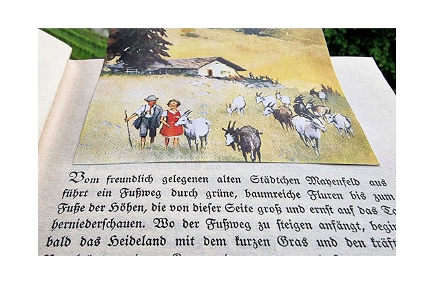 Die Heidi-Stiftung stärkt mit Zürich und Graubünden Literatur- und Kulturangebote