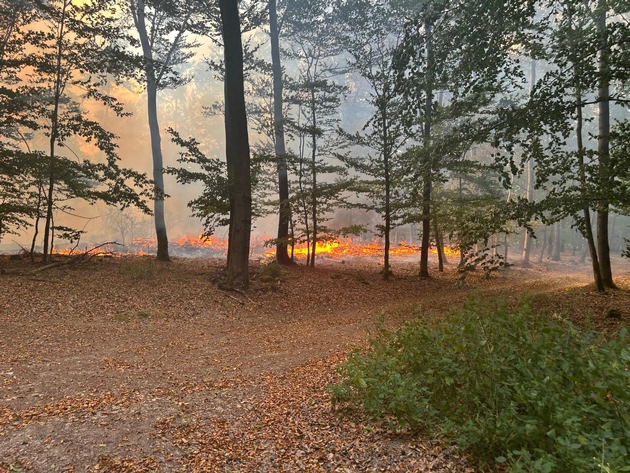 FW Rheingau-Taunus: Erstmeldung: Waldbrand zwischen Bad Schwalbach-Hettenhain und Taunusstein-Seitzenhahn - rund 150 Einsatzkräfte im Einsatz