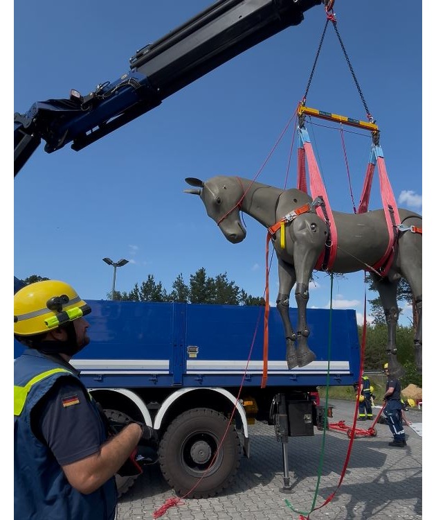 THW LVBEBBST: Großtierrettung: Neue Fähigkeit beim THW Fürstenwalde