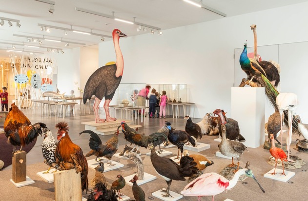 Was Schleimer, Sänger und Krabbler verbindet: Sonderausstellung «Allerlei rund ums Ei»