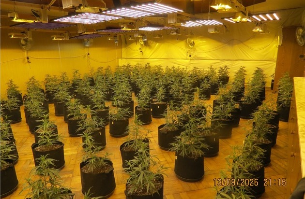 POL-GÖ: (288/2026) Professionelle Cannabis-Plantage in ehemaliger Gaststätte in Wulften entdeckt - rund 400 Pflanzen beschlagnahmt, 39-Jähriger festgenommen