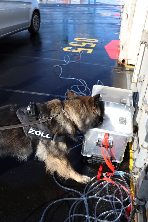HZA-HB: Einsatzmöglichkeiten von Spürhunden des Zolls erweitert / Durch Absaugen der Containerinnenluft können Spürhunde Drogen anzeigen