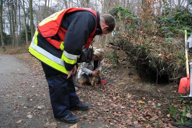 FW-E: &quot;Angel&quot; gerettet, Essener Feuerwehrleute befreien eine Norfolk-Terrier-Hündin, das Tier bleibt unversehrt, Besitzerin überglücklich