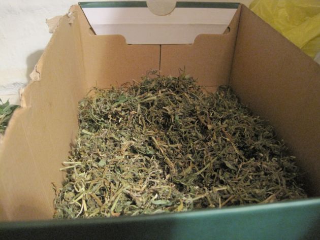 POL-GOE: (608/2014)  Professionelle Hanfplantage bei Durchsuchung einer Wohnung in Geismar entdeckt - 35 Pflanzen und Zubehör von Polizei beschlagnahmt