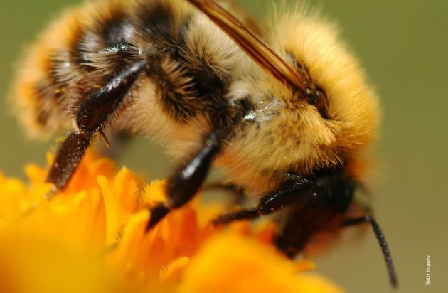 Preserving our nature: Agriculture is the key / Civey study shows: Great ...