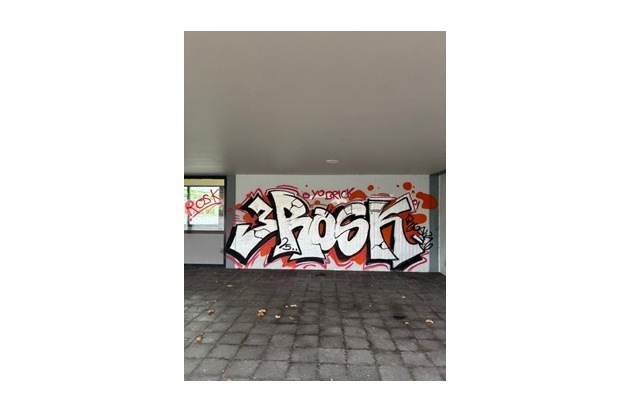 POL-PDTR: IGS-Hermeskeil - Täter beschmieren Hauswand mit Graffiti