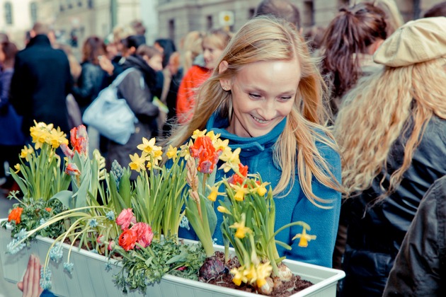 1,2,3 Frühling: Winterliche Tristesse weicht blühendem Farbenrausch (mit Bild)