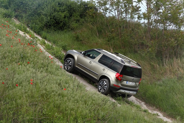 SKODA mit jüngster 4×4-Flotte aller Zeiten (FOTO)