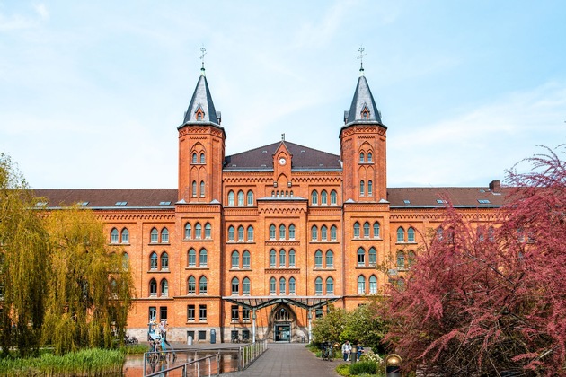 Sommer, Genuss und Gemeinschaft: Rathaus Open Air und Familienfest laden in den Stadtpark ein