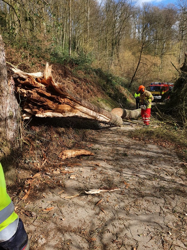 FW Ratingen: Folgemeldung Feuerwehr Ratingen - Sturm Zeynep sorgt weiter für Schäden