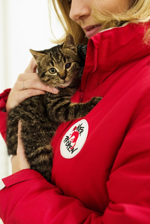 VIER PFOTEN spricht an der Fachmesse Terr-Animale über ihre Katzenprojekte