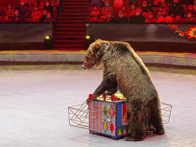 Keine Ferien auf Kosten der Tiere