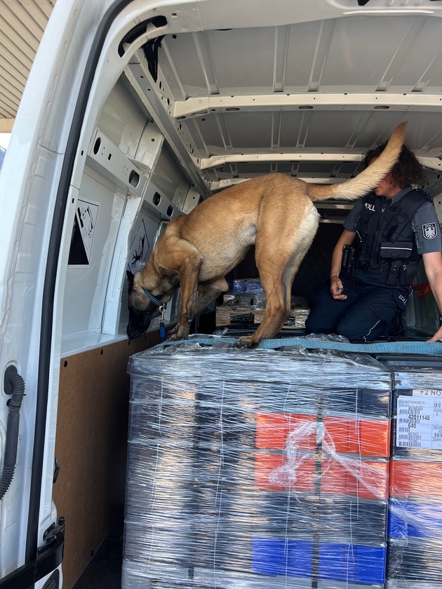 HZA-UL: Tabakspürhund Athos findet 100.000 Schmuggelzigaretten