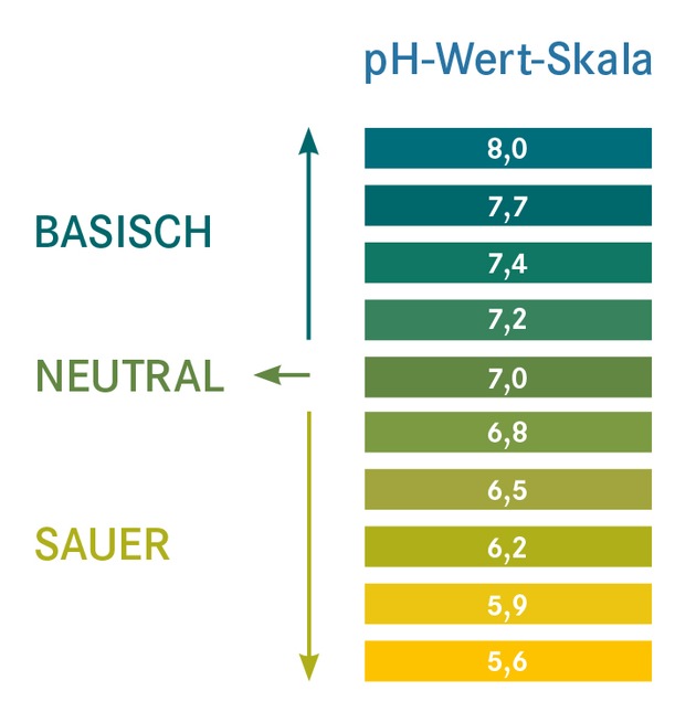 Jetzt testen: Bin ich übersäuert? / Große Selbsttestkampagne startet in bundesdeutschen Apotheken