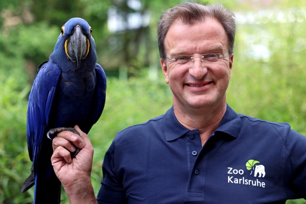 Radio Regenbogen und der Zoo Karlsruhe suchen dringend Namen für Giraffen-Baby