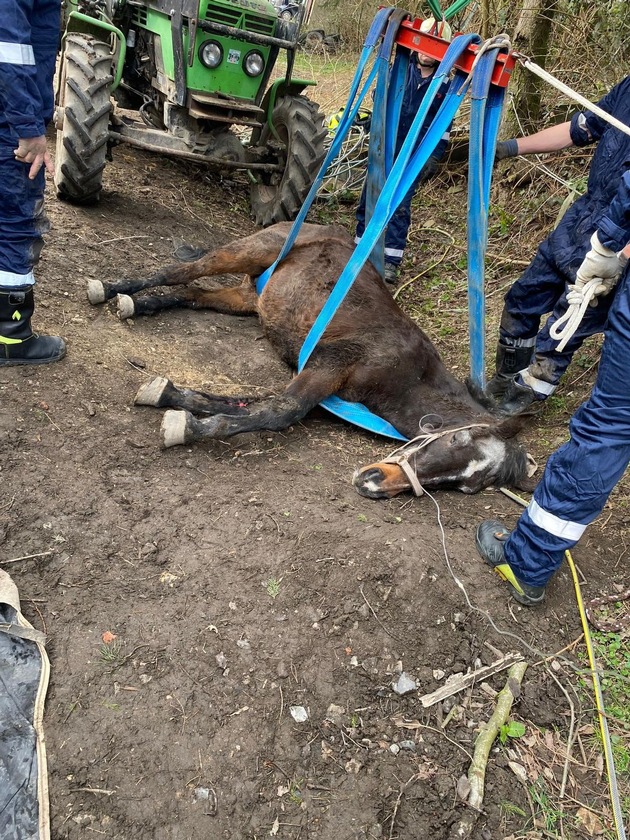 FW-Velbert: Großtierrettung - Pferd aus Notlage befreit