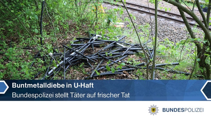 BPOLI LUD: Festnahme auf frischer Tat: U-Haft gegen Buntmetalldiebe angeordnet