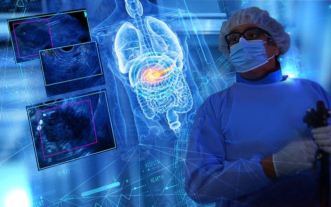 Medi-Globe Group: Innovative KI-Software zur Erkennung von Pankreas-Erkrankungen: First-in-human-Anwendung erfolgreich / Wichtiger Meilenstein in der Diagnostik von Pankreas-Krebs in Sicht