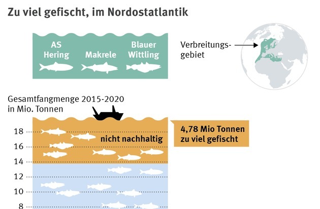 Marine Stewardship Council (MSC): Raus aus der Überfischungskrise / Aktueller Bericht drängt auf neuen Ansatz bei der Fangquotenverteilung im europäischen Nordostatlantik