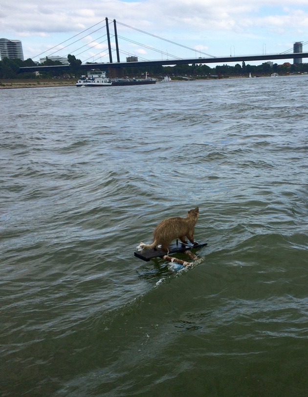 FW-D: Ungewöhnliche Tierrettung auf dem Rhein