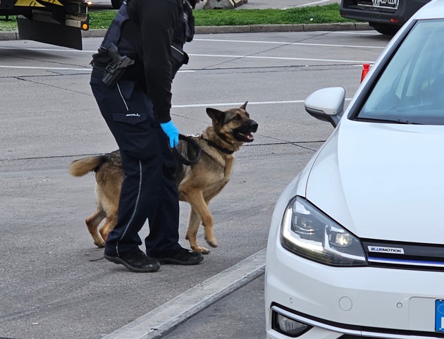 HZA-KA: Zollhund beweist richtigen Riecher / Buskontrolle endet mit Haftbefehl