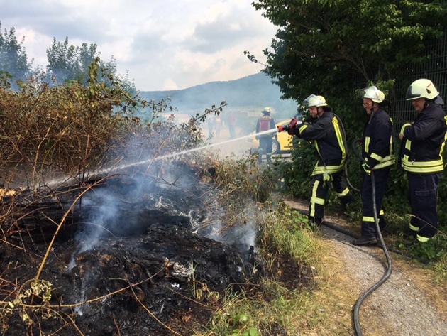 FW Lügde: Feuer 1 / erneuter Heckenbrand