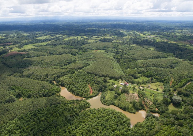 DBU: Tropenwald - Datenbasierte Vorhersage schont Boden, Klima und Geldbeutel