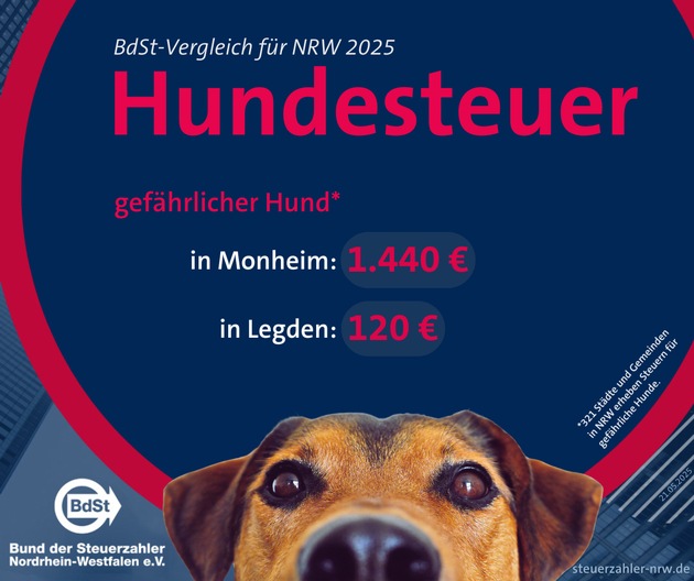Hundesteuer 2025: 37 Kommunen erhöhen – BdSt fordert Abschaffung