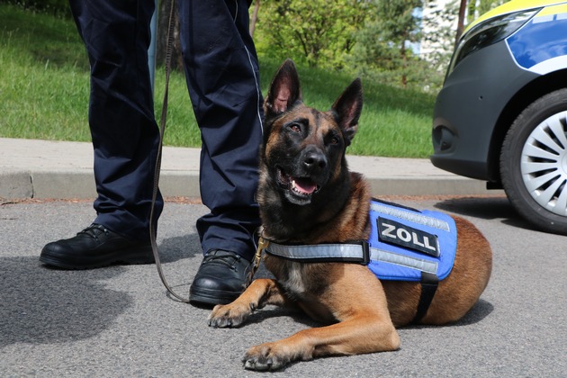 HZA-EF: Hundert Mal den richtigen Riecher / Zollhund Riki erh&auml;lt Auszeichnung f&uuml;r erfolgreiche Eins&auml;tze