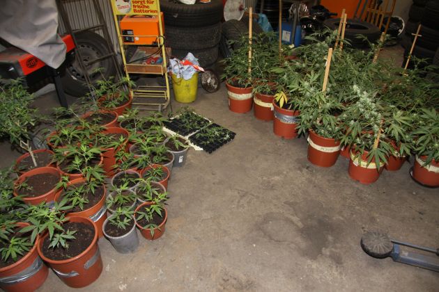 POL-H: Polizei beschlagnahmt Indoorplantage