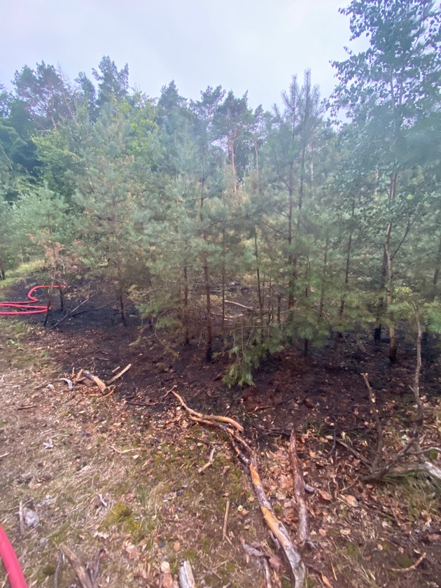 POL-NB: Waldstück bei Zempin (Insel Usedom) brennt