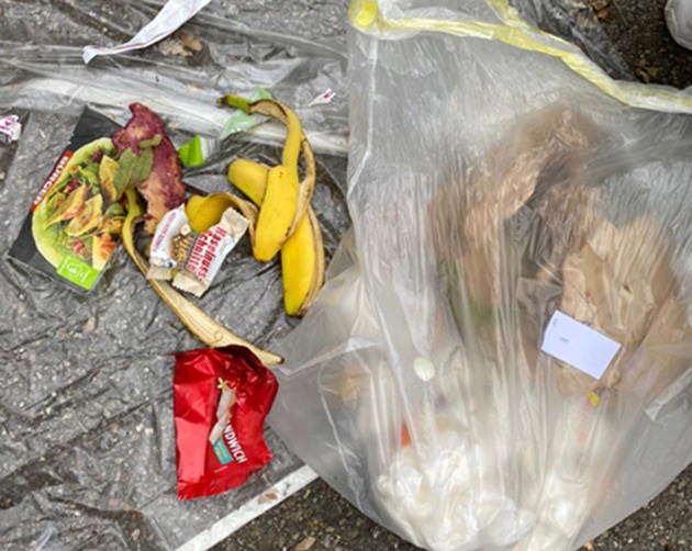 Studie M&uuml;lltrennung: Aufkl&auml;rung erh&ouml;ht die Bereitschaft