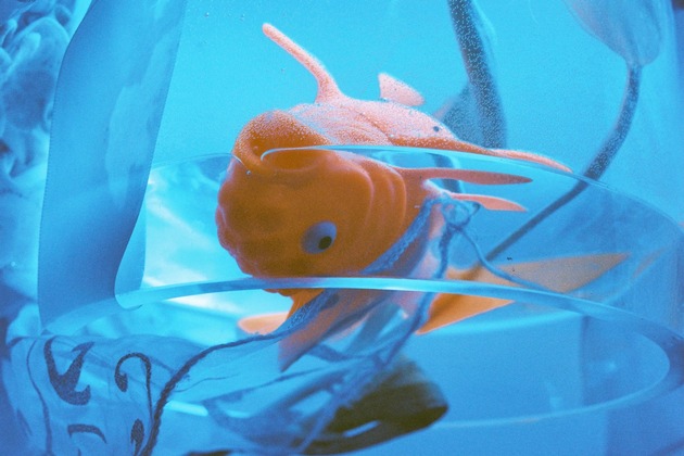 Einladung zum Presse Preview im Luma Westbau, Zürich | Fr. 13. Juni 2025 | 11.30 Uhr