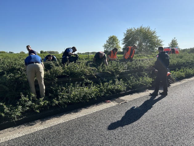 POL-OF: Stau f&uuml;r die K&uuml;ken: Autobahnsperrung f&uuml;r Rettung von Entenfamilie