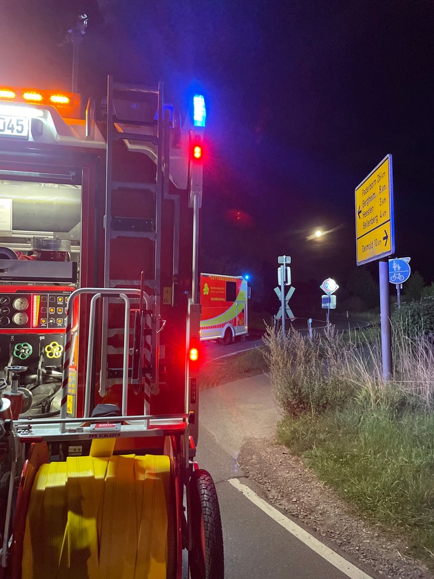 FW Horn-Bad Meinberg: Zugunfall mit Personenschaden bestätigt sich nicht - Rehbock tödlich verletzt