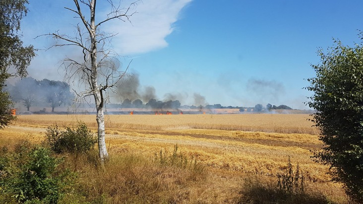FW-RD: Feuer vernichtet Getreidefeld, rund 60 Feuerwehrleute im Einsatz

Ostenfeld bei Rendsburg, im Rader Weg, kam es Heute (26.07.2019) zu einem Feuer auf einem Getreidefeld.