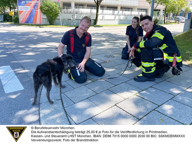 FW-M: Hund aus geparktem Auto gerettet (Bogenhausen)