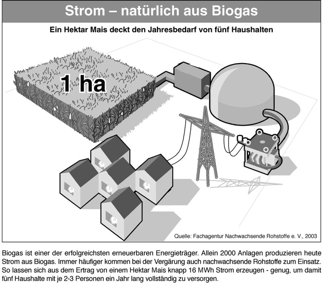 Biogas: Der Landwirt als Stromversorger / Mehr Watt durch Mais und Co